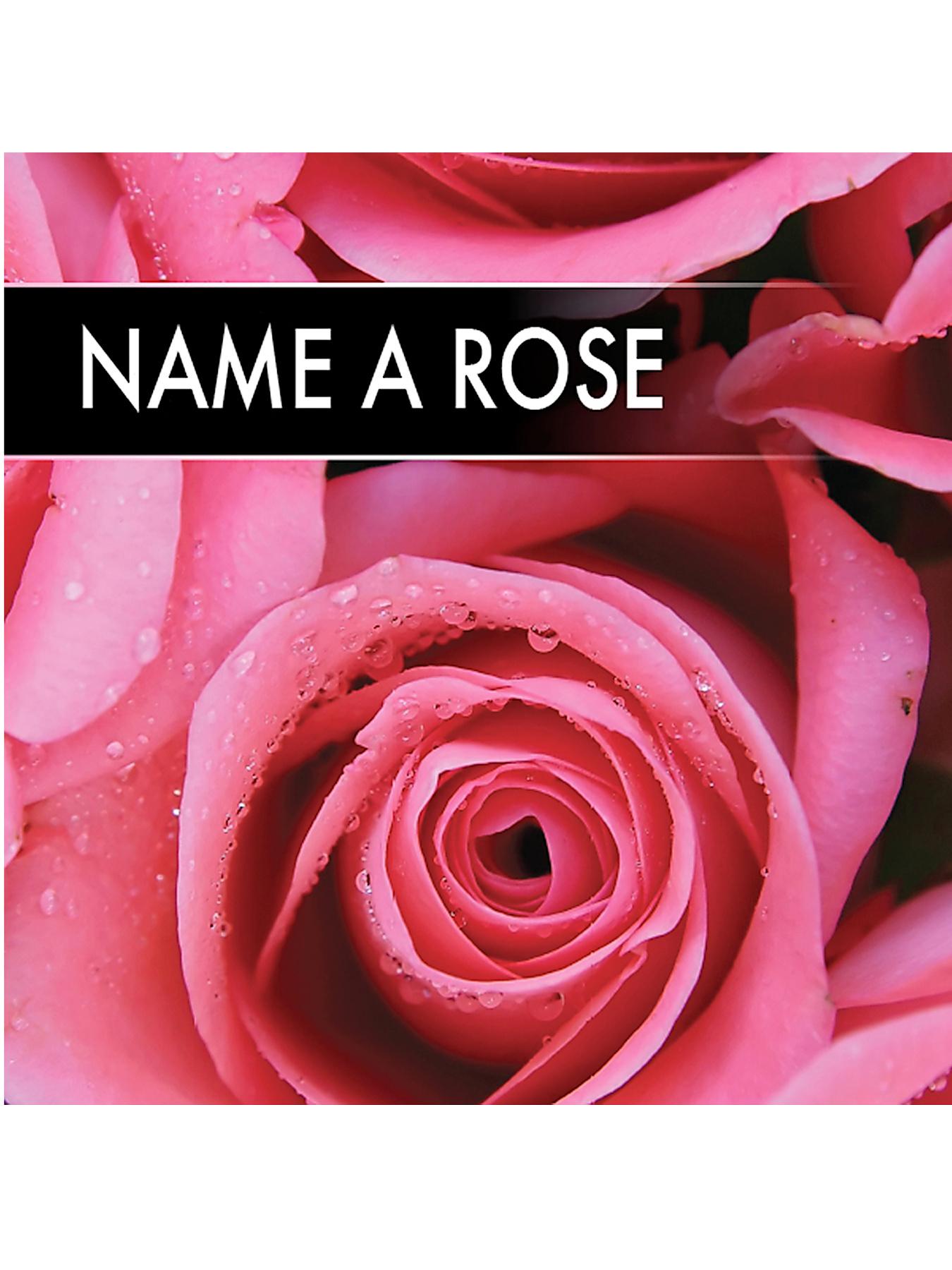 Name a Rose Name a Rose
