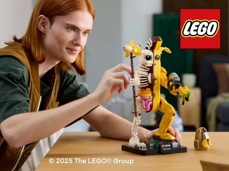 Toys Big Kids Very