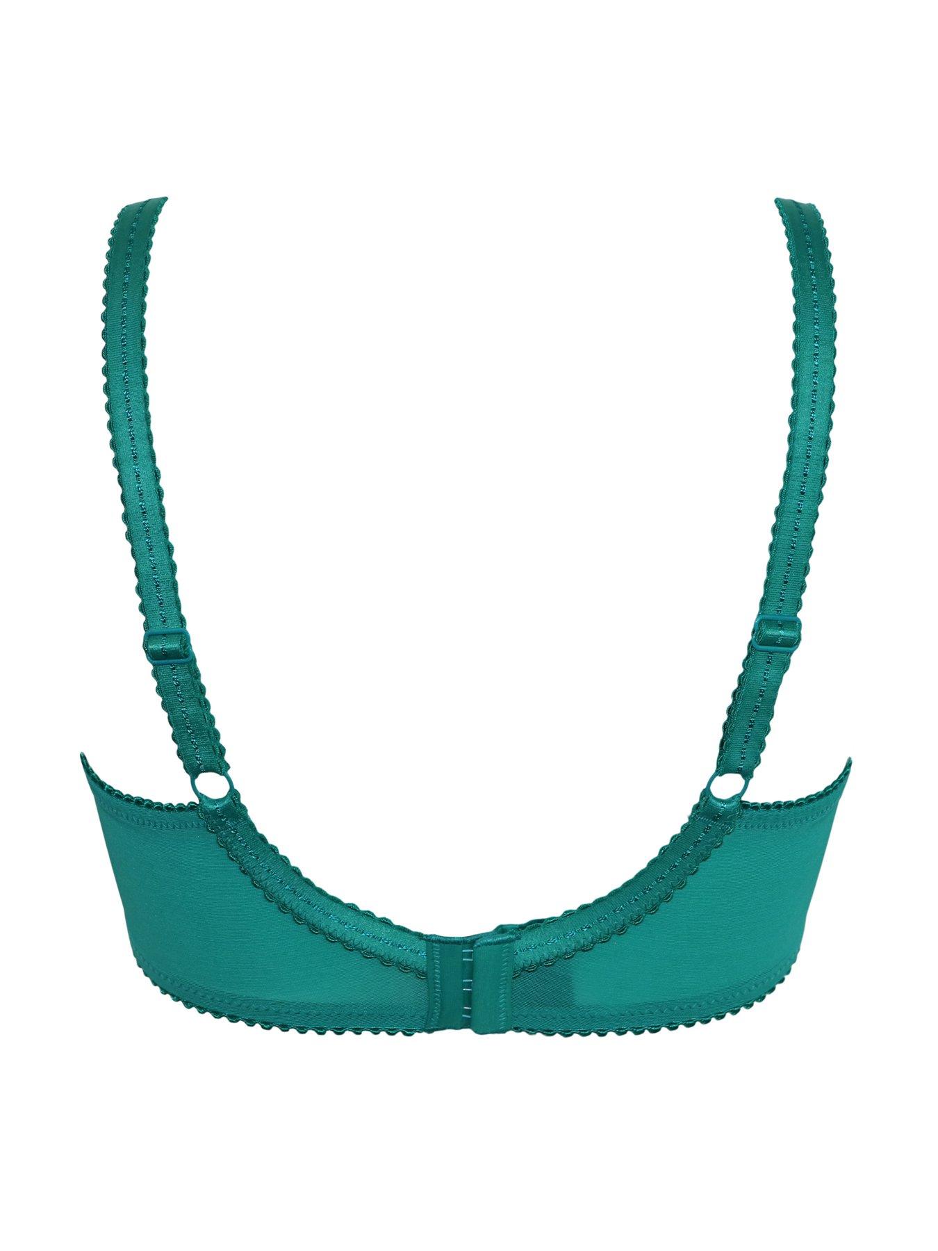 Image 4 of 4 of Pour Moi Sofia Lace Embroidered Side Support Bra D-J