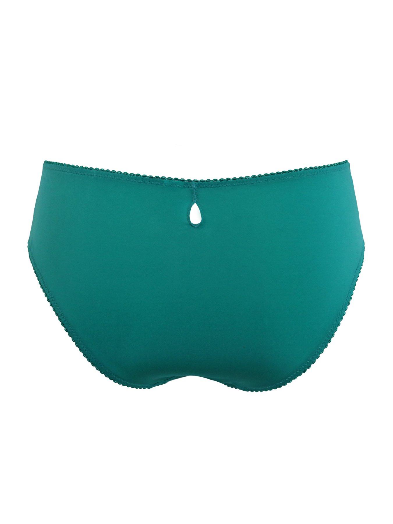 Image 4 of 4 of Pour Moi Sofia Embroidered Lace Bikini Brief