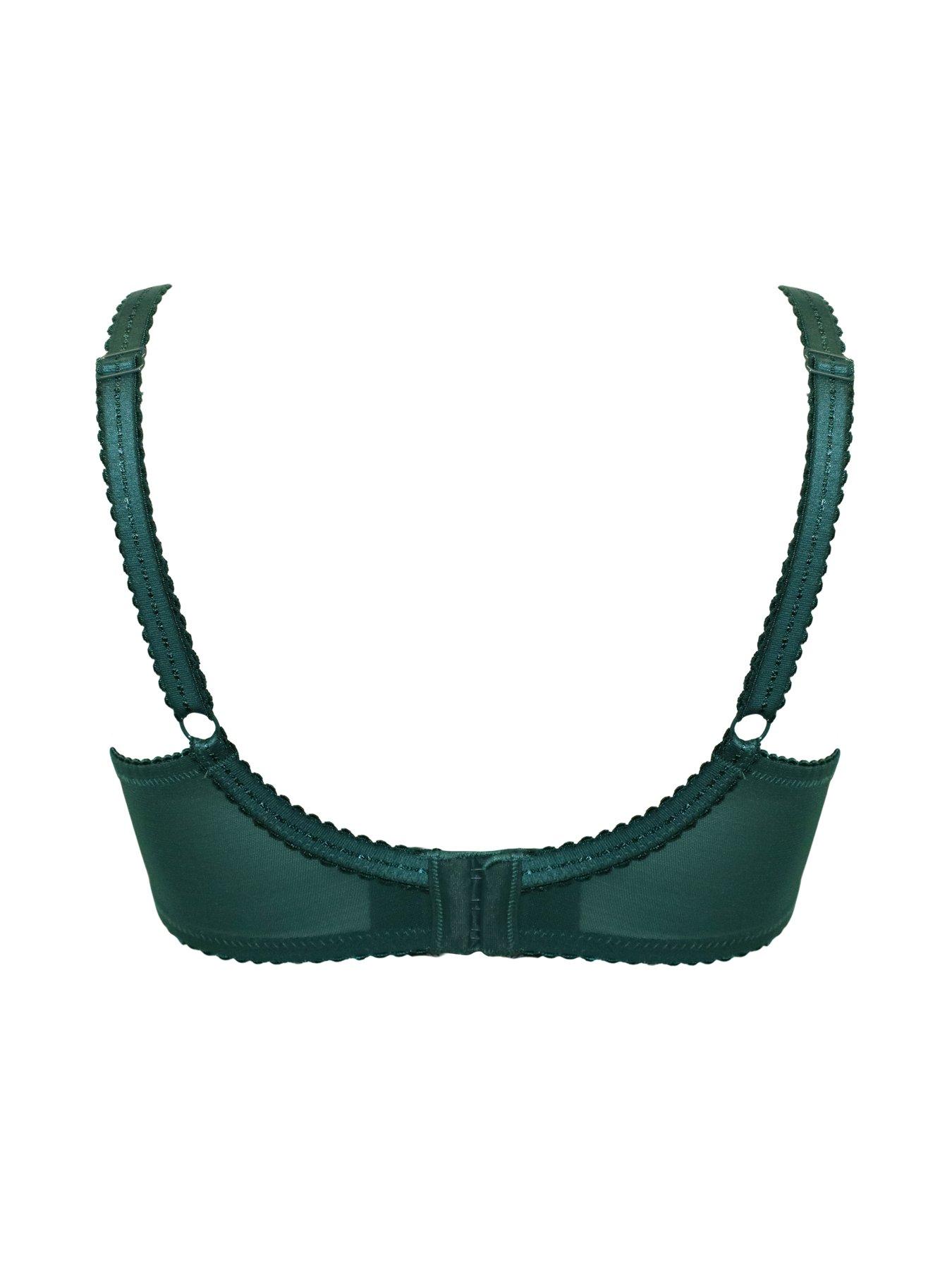 Image 4 of 4 of Pour Moi Sofia Lace Embroidered Side Support Bra D-J
