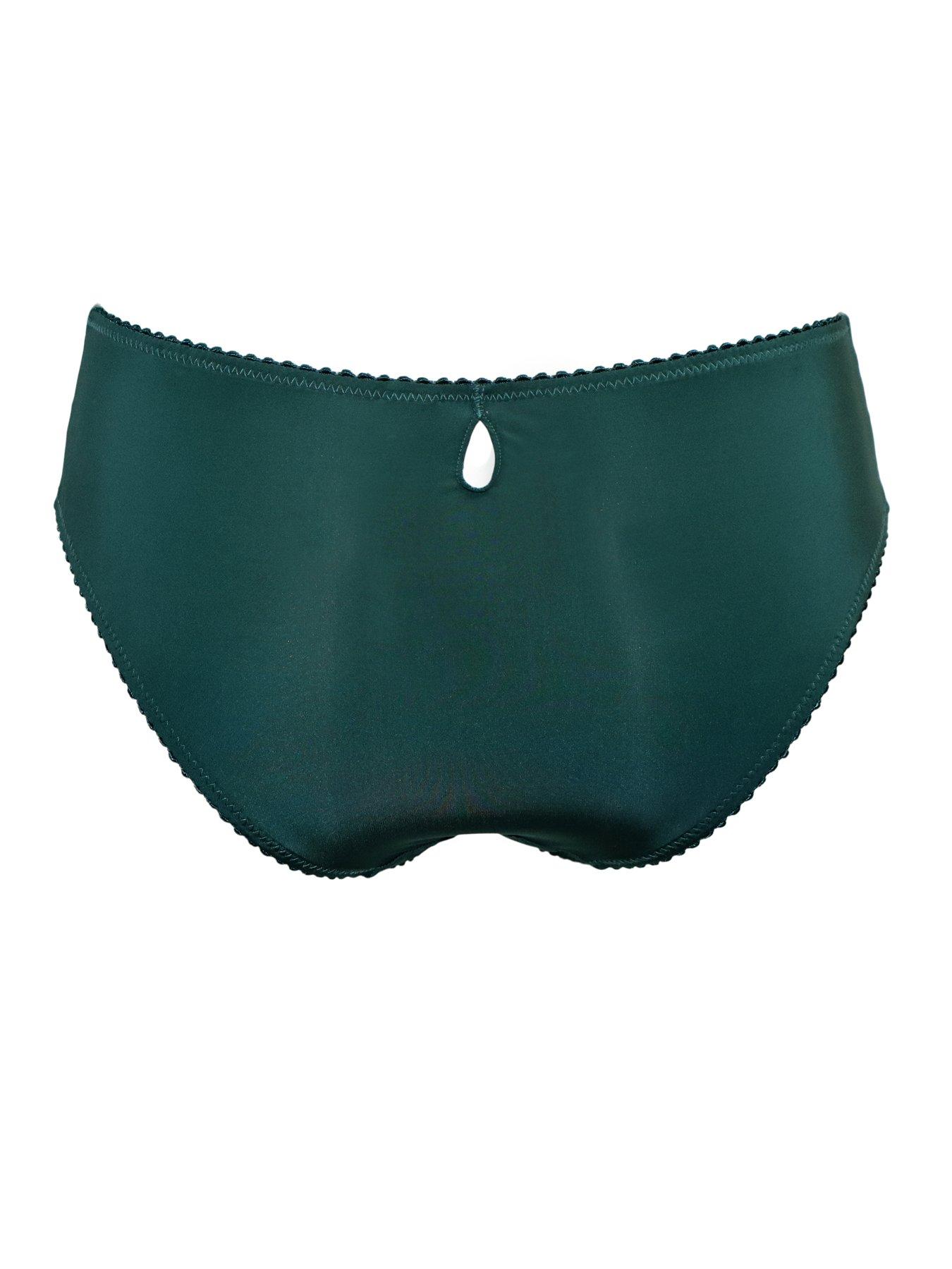 Image 4 of 4 of Pour Moi Sofia Embroidered Lace Bikini Brief