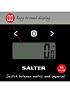  image of salter-analyser-scales