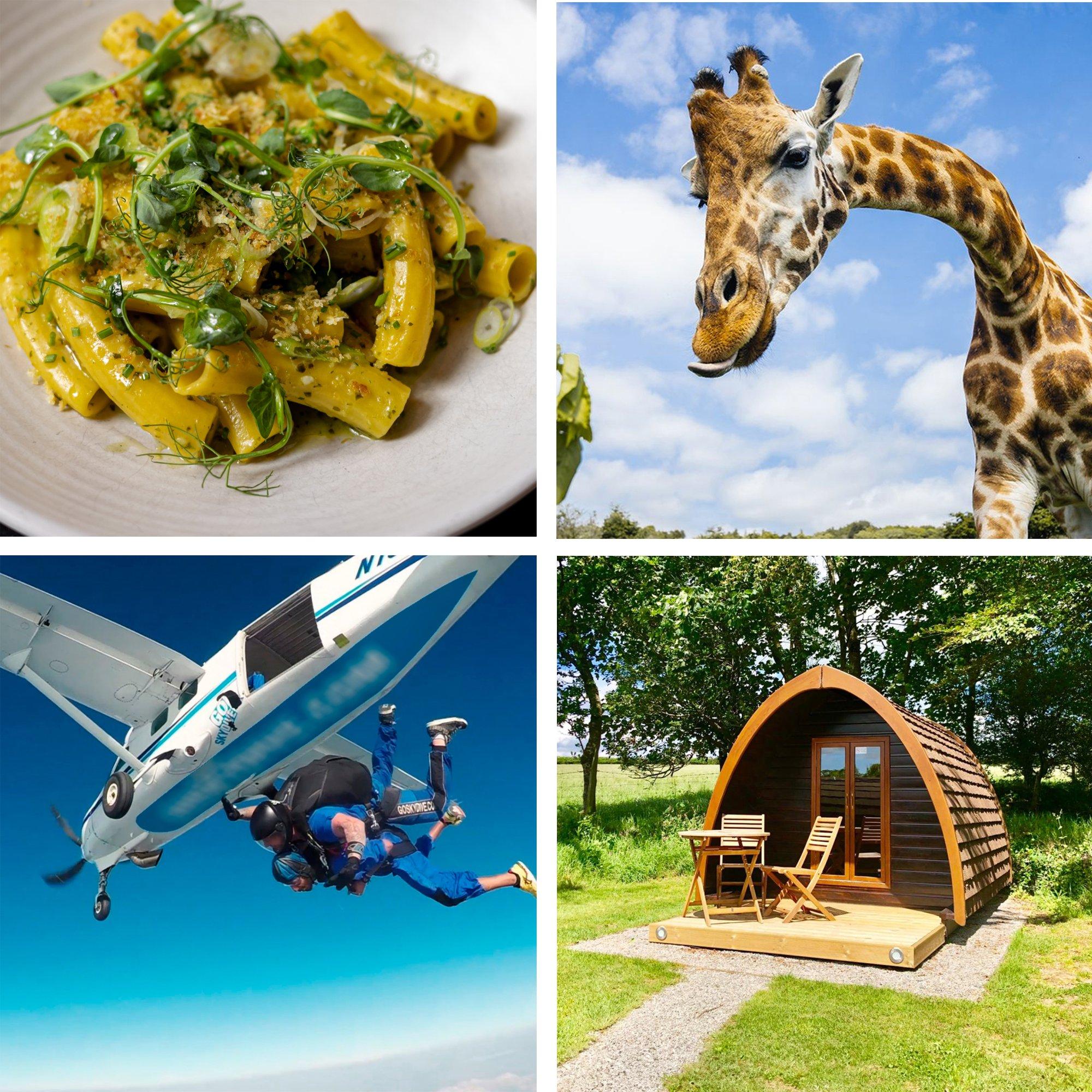 Collage of different gift experiences like fine dining, zoo visits, sky diving and log cabin stays.