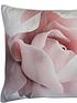 image of ted-baker-porcelain-rose-45x45cm-feather-filled-cushion