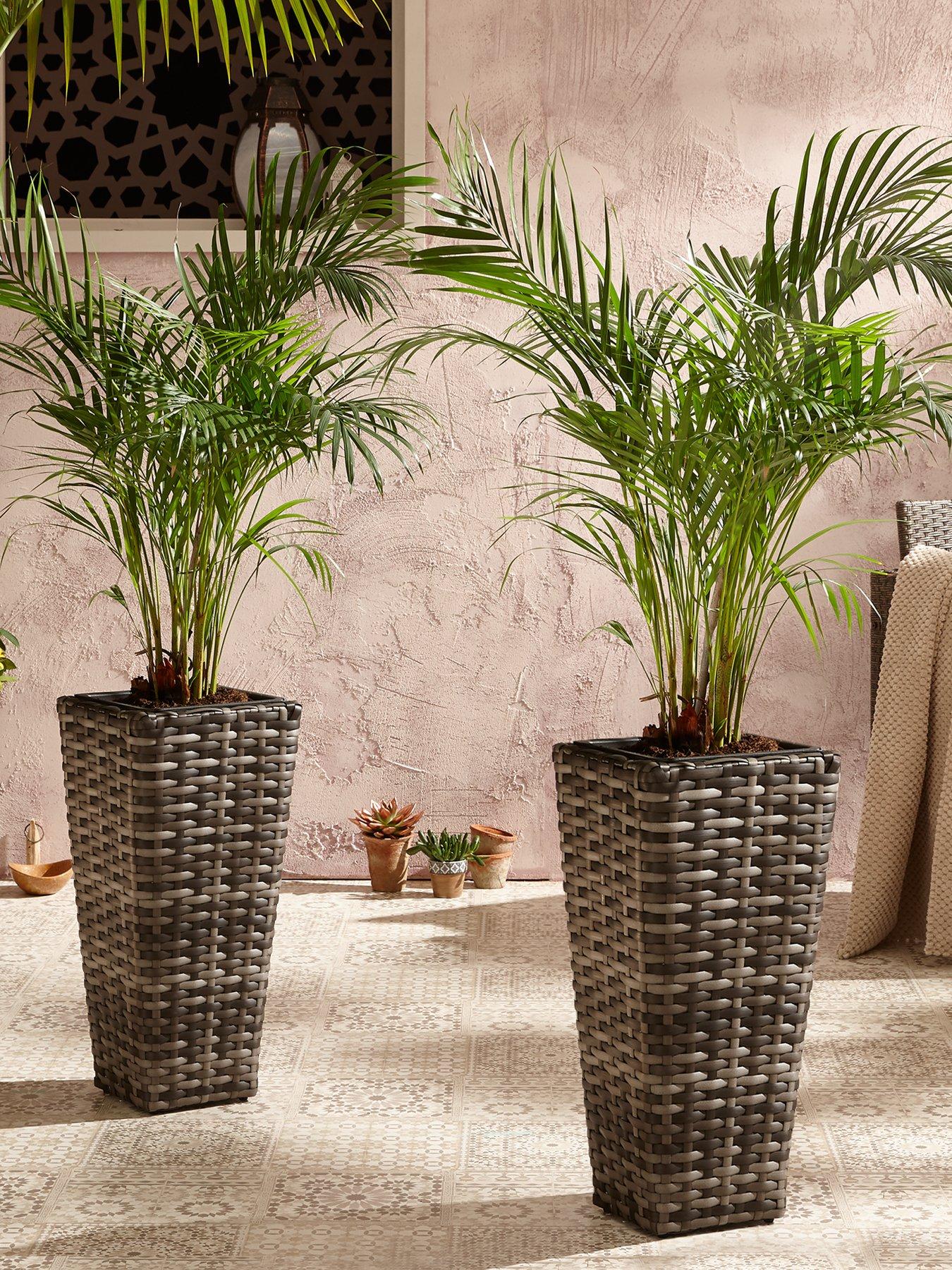 undefined Set of 2 Tall Rattan Effect Planters - Grey