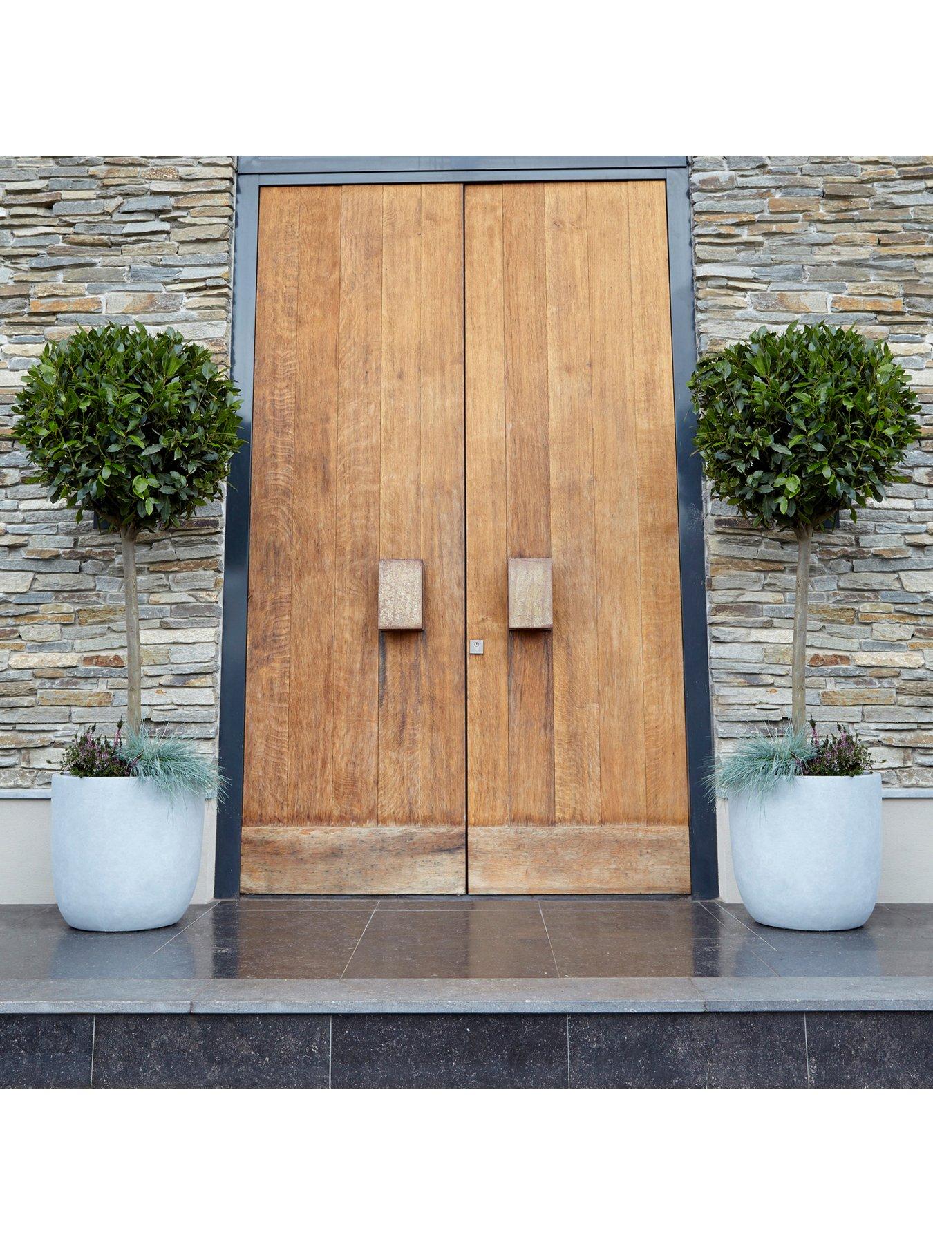 Product photograph of You Garden Pair Of Standard Bay Trees 70-80cm Tall from very.co.uk