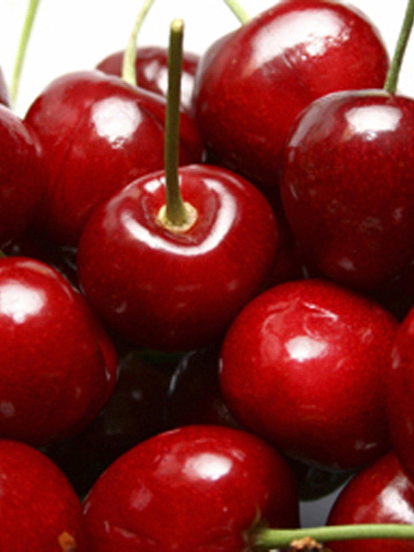 Image 4 of 5 of You Garden DUO Cherry Tree - 2 Varieties On One Tree