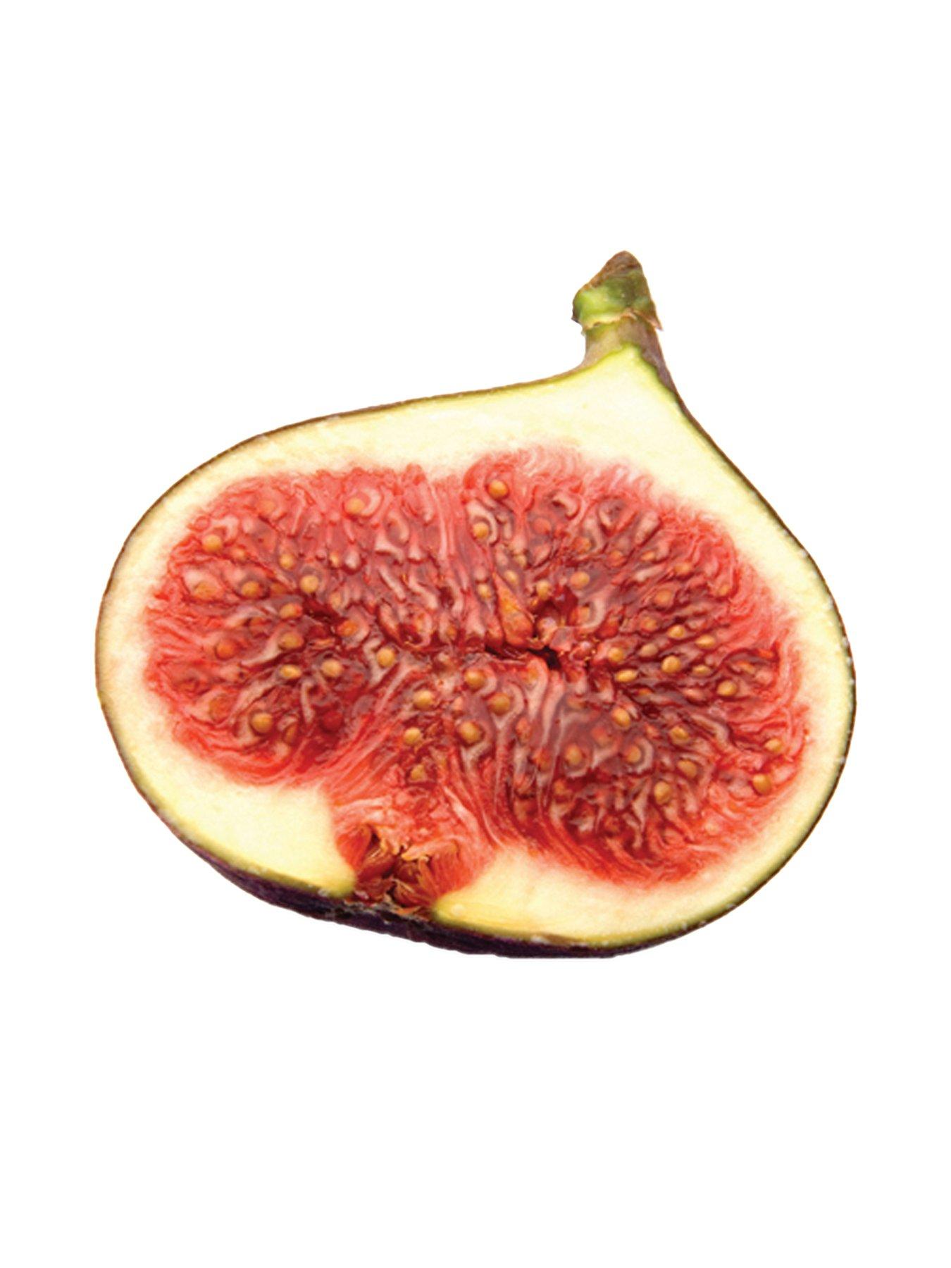 Image 5 of 5 of You Garden Hardy Fig Brown Turkey Plant 2l Pot