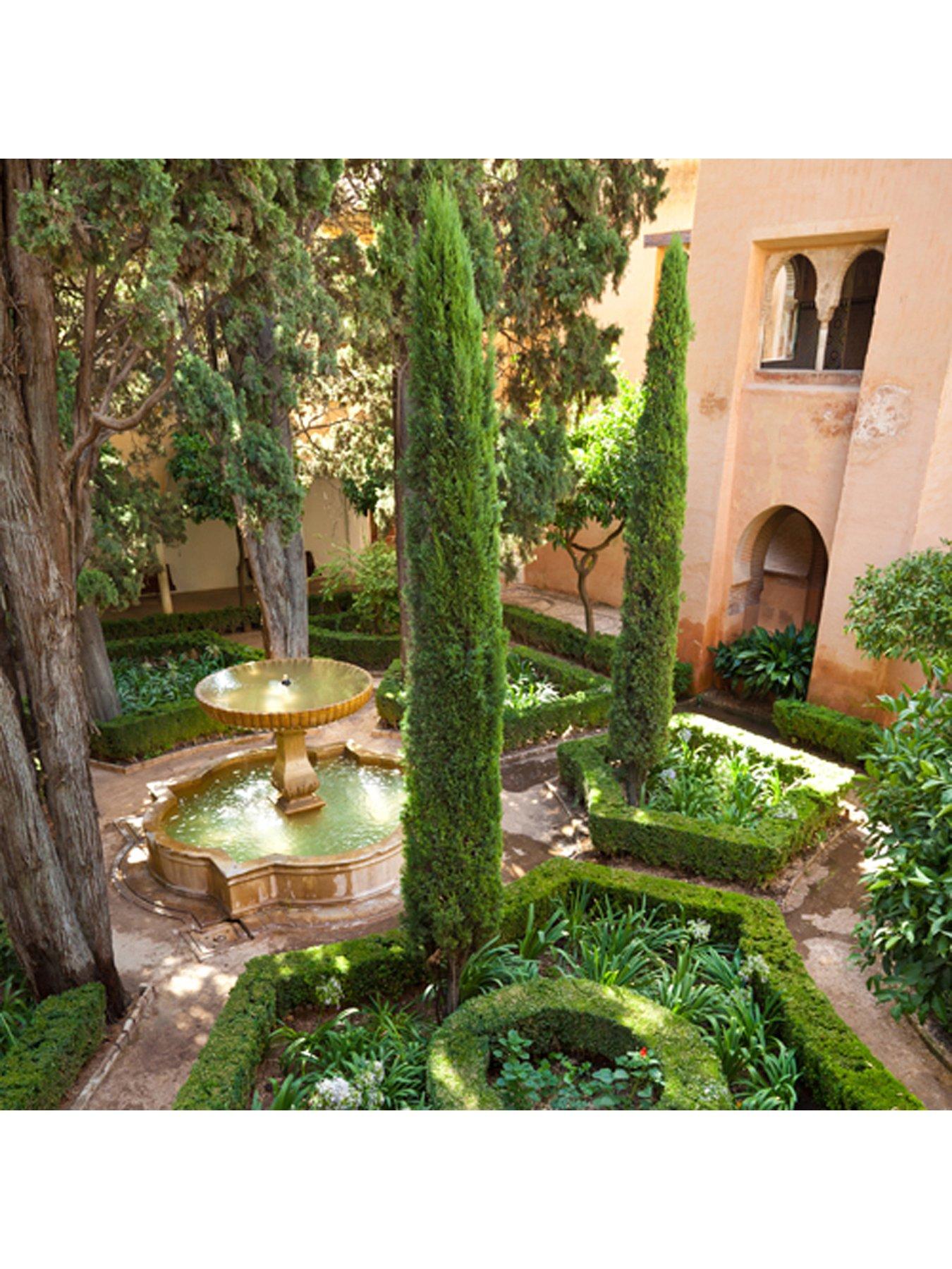 You Garden Pair Of Italian Cypress Trees 0.6-0.9m Tall