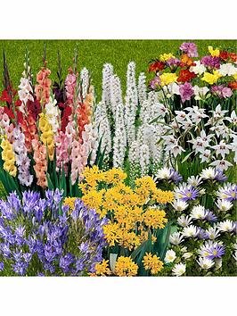 Product photograph of 300 Summer Flowering Bulbs In 7 Varieties from very.co.uk