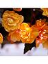  image of trailing-begonia-apricot-shades-x20-tubers