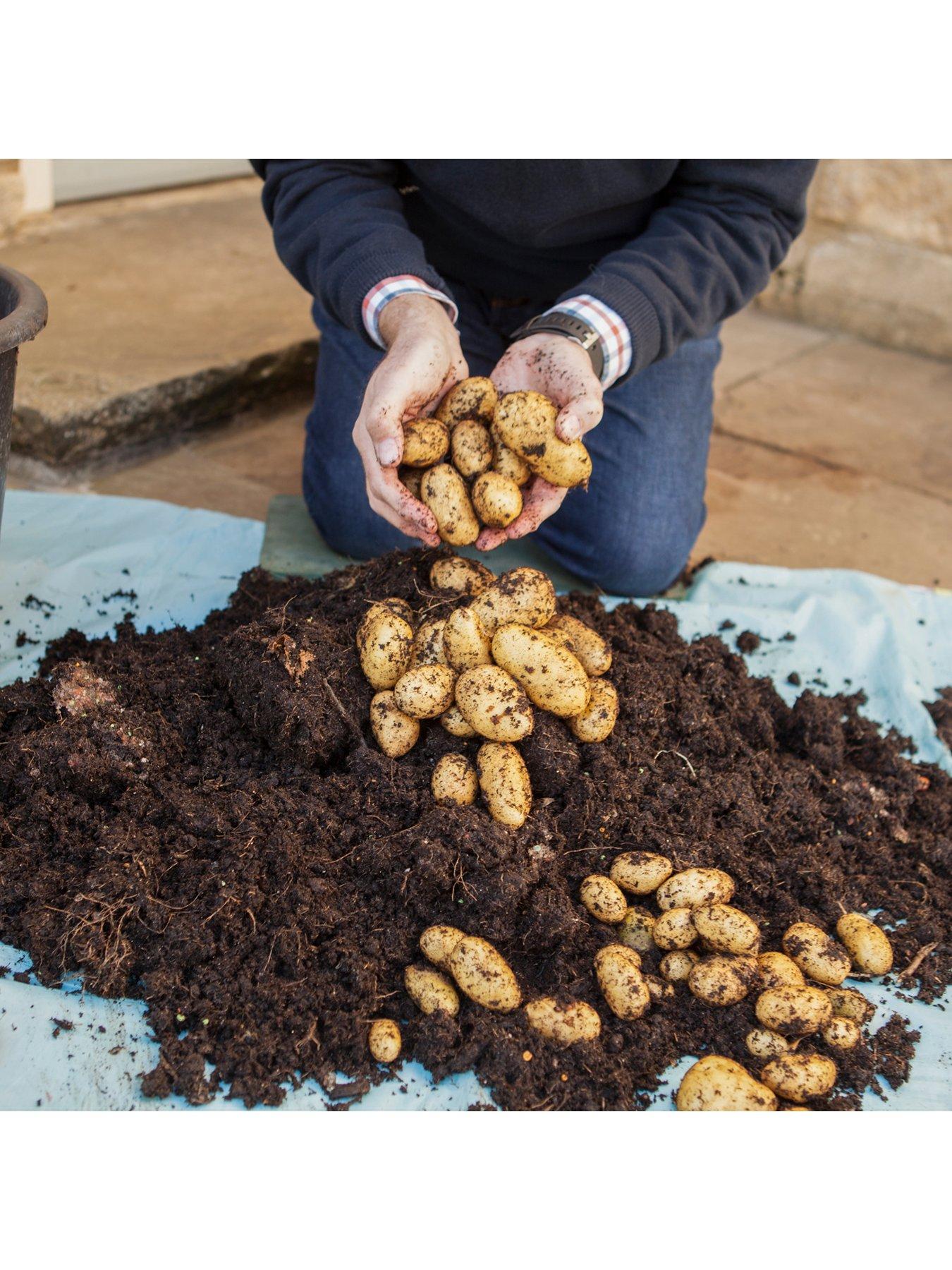 Product photograph of You Garden Complete Patio Potato Growing Kit from very.co.uk