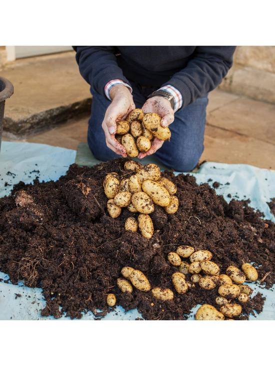 front image of complete-patio-potato-growing-kit