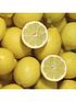  image of large-lemon-eureka-tree-6l-pot