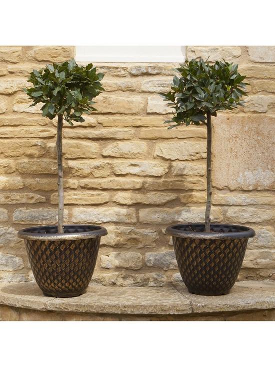 front image of pair-of-gold-pinecone-planters-33-cm-diameter