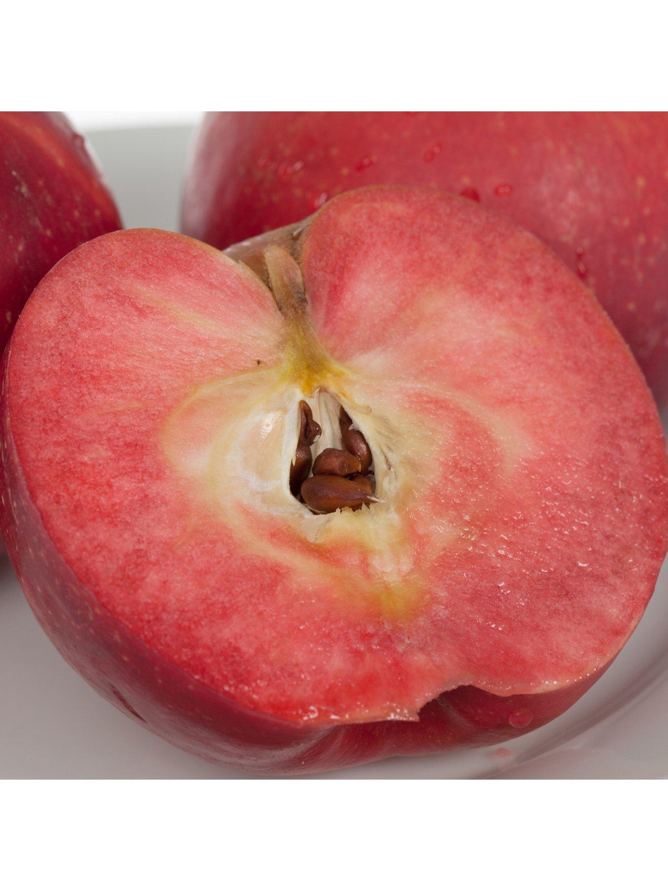 Apple Tree 'Tickled Pink' 7.5L Potted Plant 1.4M Tall very.co.uk