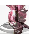 Image thumbnail 4 of 4 of Calvin Klein Euphoria For Women 50ml Eau de Parfum
