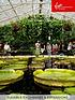 virgin-experience-days-visit-to-kew-gardens-and-palace-london-for-two-adultsfront