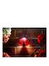  image of smart-solar-ladybird-led-wall-hanging-lights-4-pack
