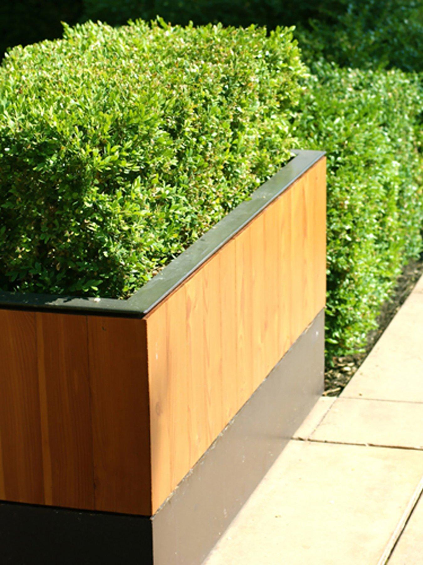 Product photograph of You Garden Box Buxus Hedging Pack - 10 Plants In 9cm Pots from very.co.uk