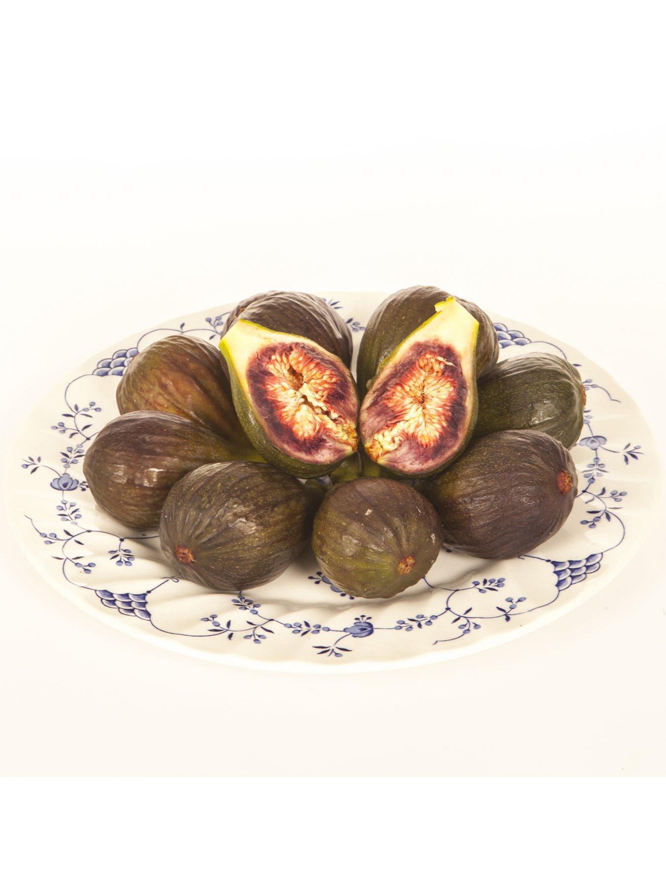Image 2 of 5 of You Garden Fig tree 'Brown Turkey' standard form 1.2-1.4M tall