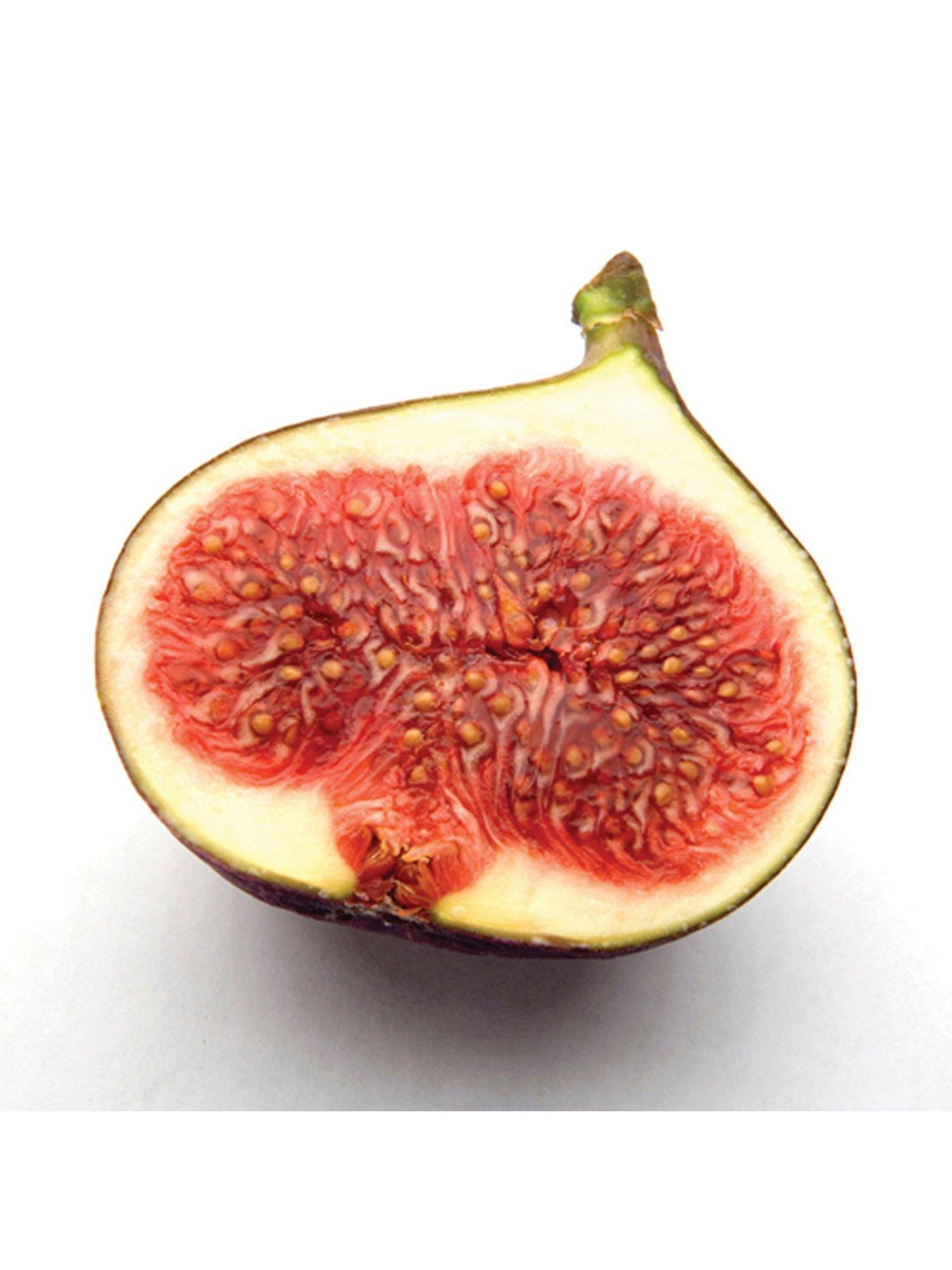 Image 4 of 5 of You Garden Fig tree 'Brown Turkey' standard form 1.2-1.4M tall