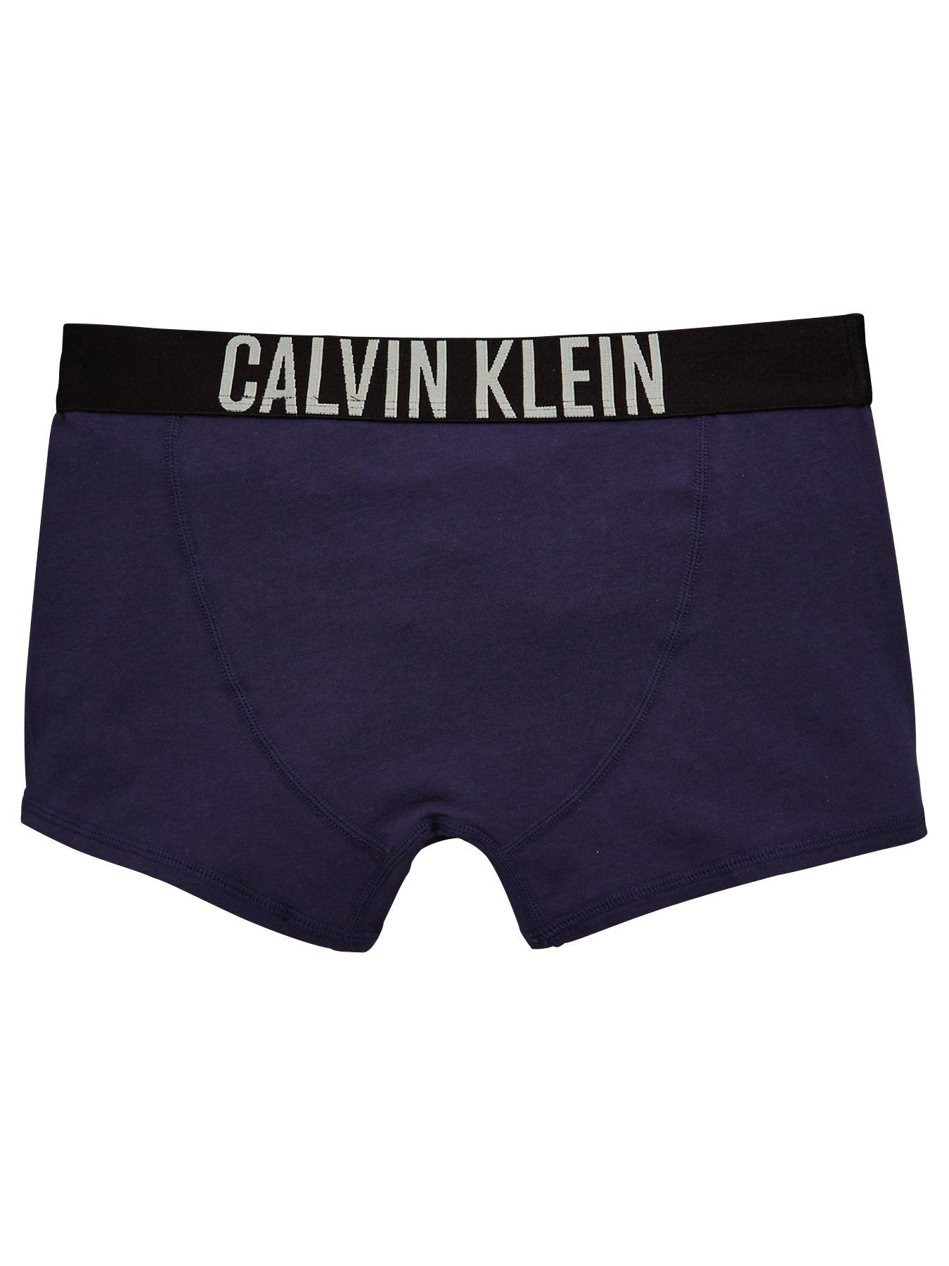 Image 3 of 4 of Calvin Klein Boys 2 Pack Trunks - Grey/Blue