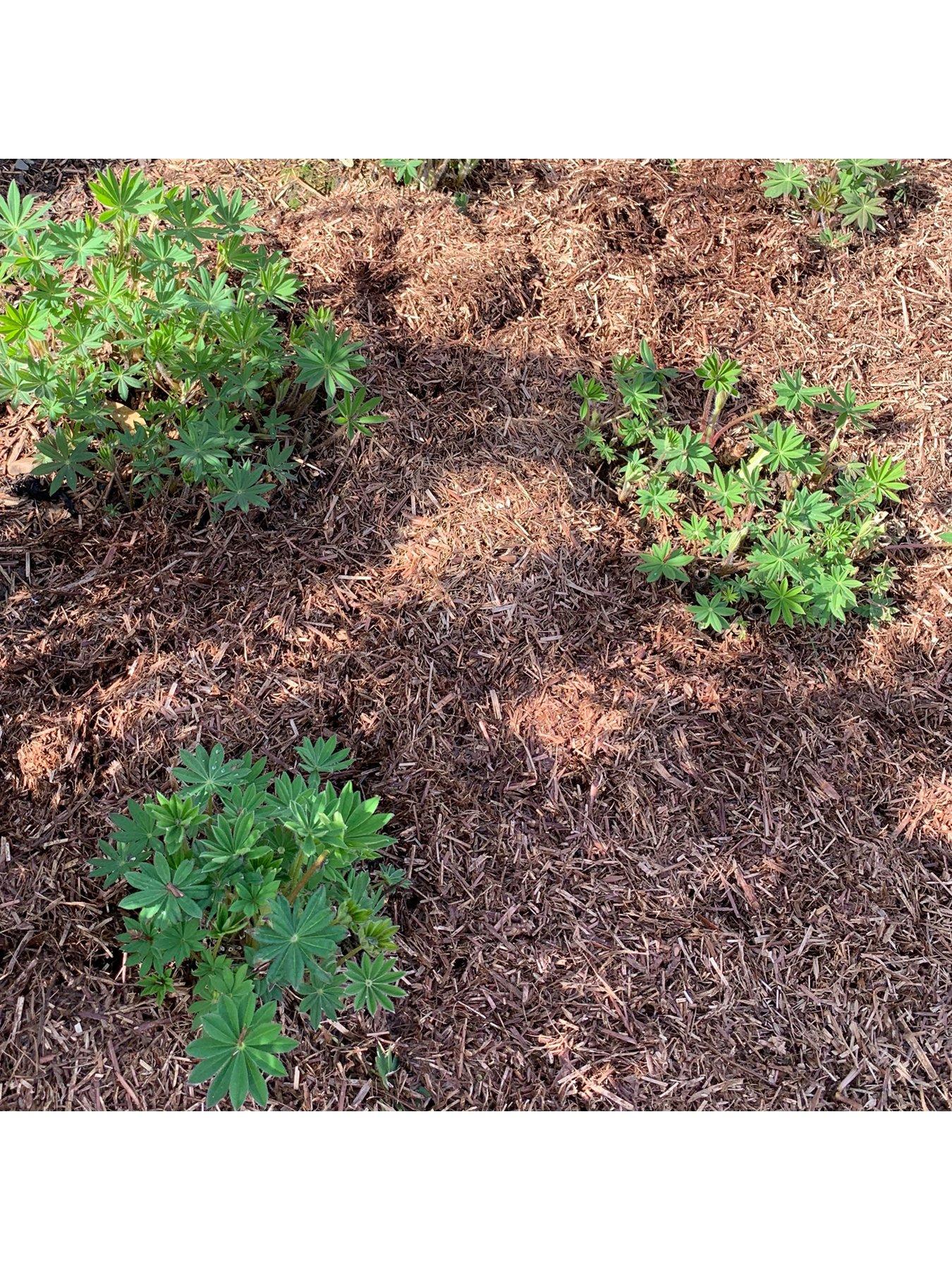 Strulch Mineralised Straw Mulch & Slug Deterrent 9kg Bag very.co.uk