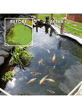 Product photograph of Pond Clear Pro 2-step Pond Clearing Treatment - 20 000l from very.co.uk