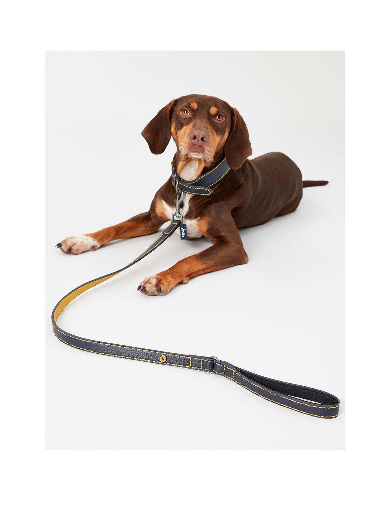 Product photograph of Joules Navy Leather Collar - Medium from very.co.uk