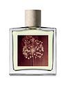 Image thumbnail 2 of 5 of AllSaints Incense City Eau De Parfum -&nbsp;100ml&nbsp;