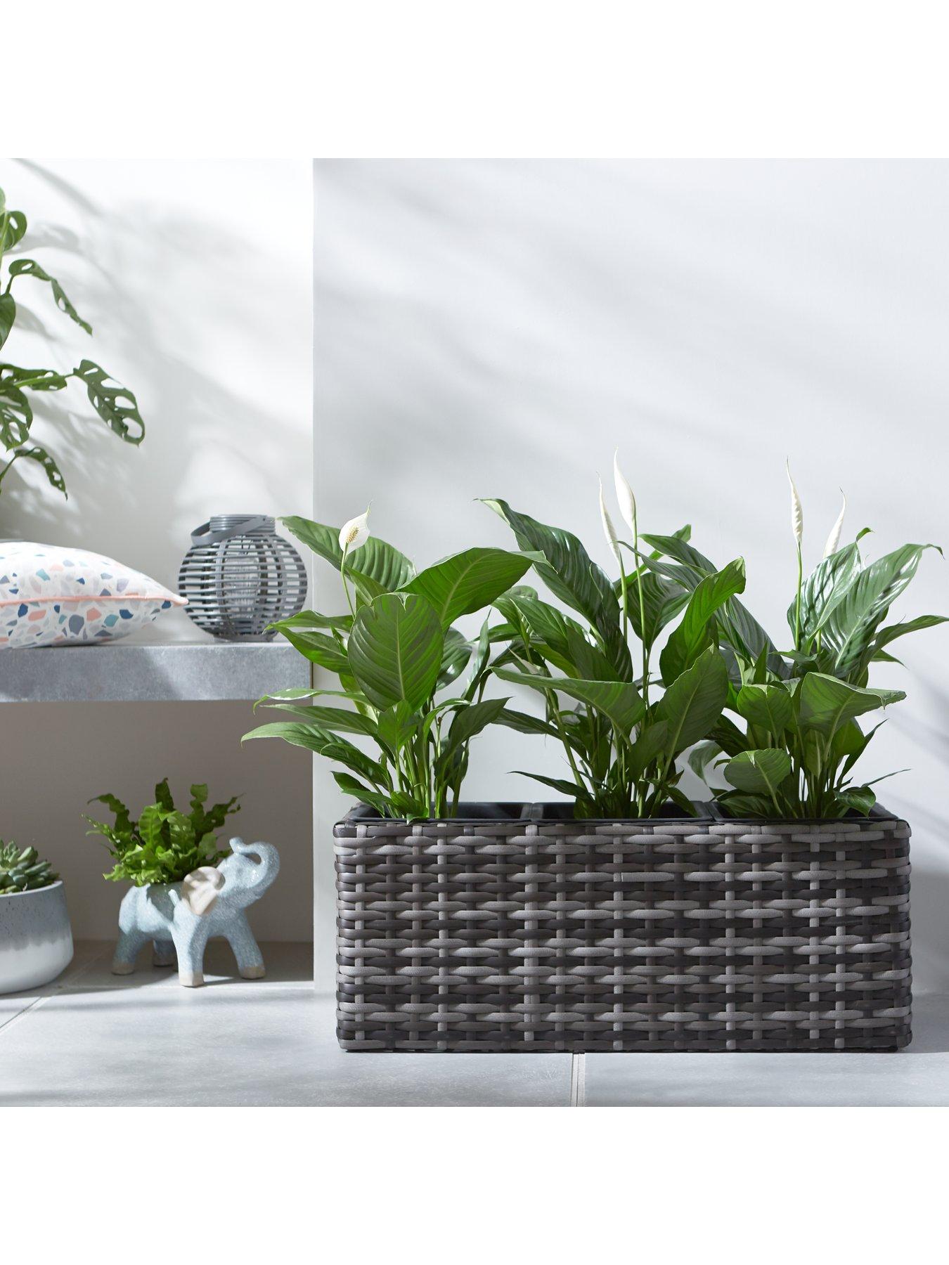 Product photograph of Very Home Aruba Trough Shaped Rattan Planter from very.co.uk