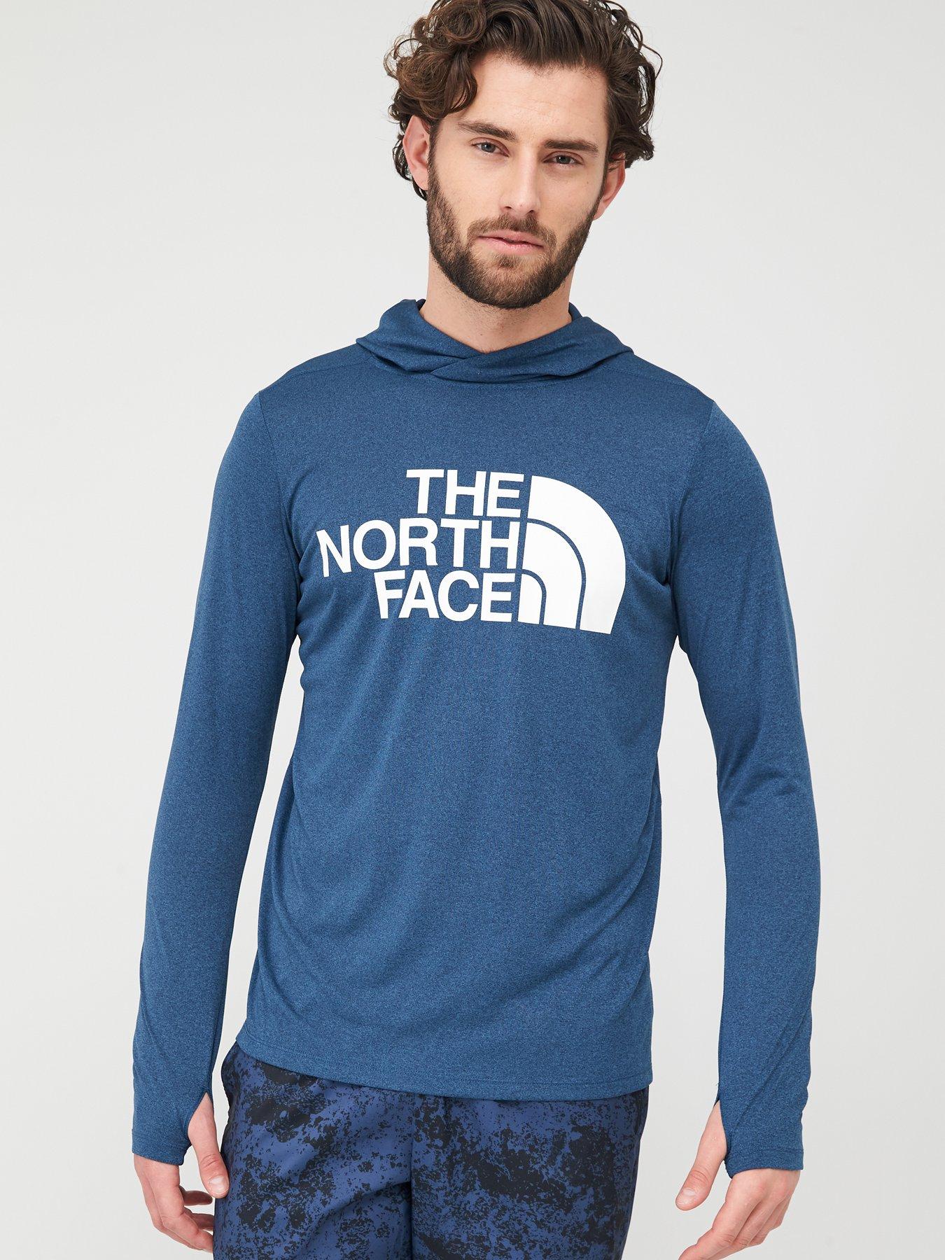 the north face heather logo big hoodie