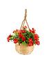  image of smart-garden-basket-bouquets-2-pack