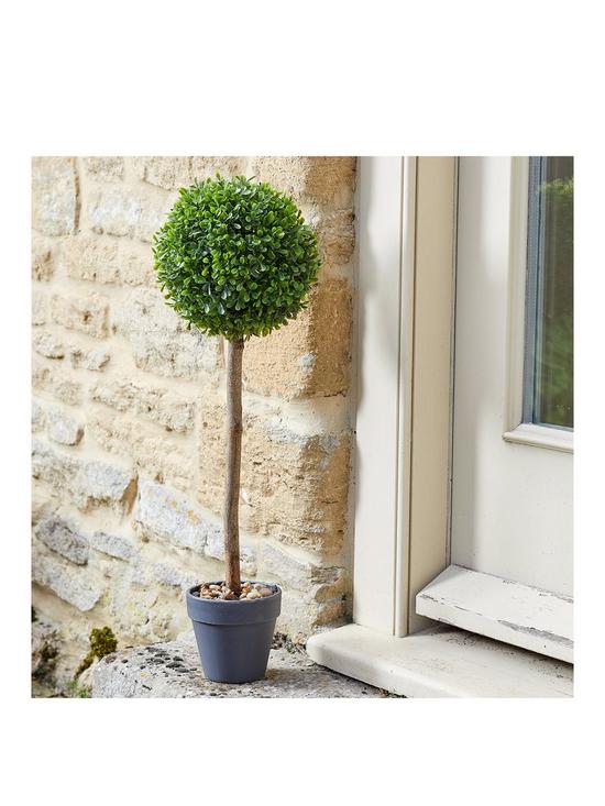 front image of smart-garden-uno-topiary-tree-2-pack