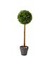  image of smart-garden-uno-topiary-tree-2-pack