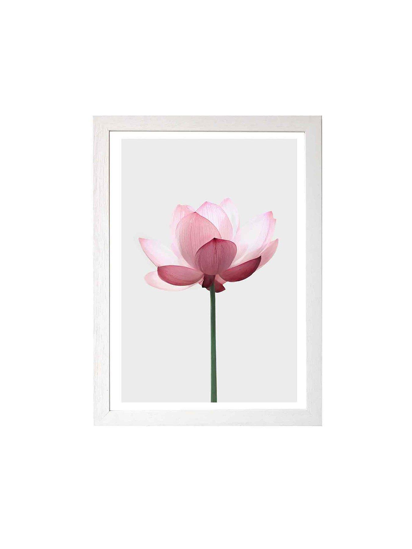 East End Prints Lotus By Sissi And Seb A3 Wall Art review