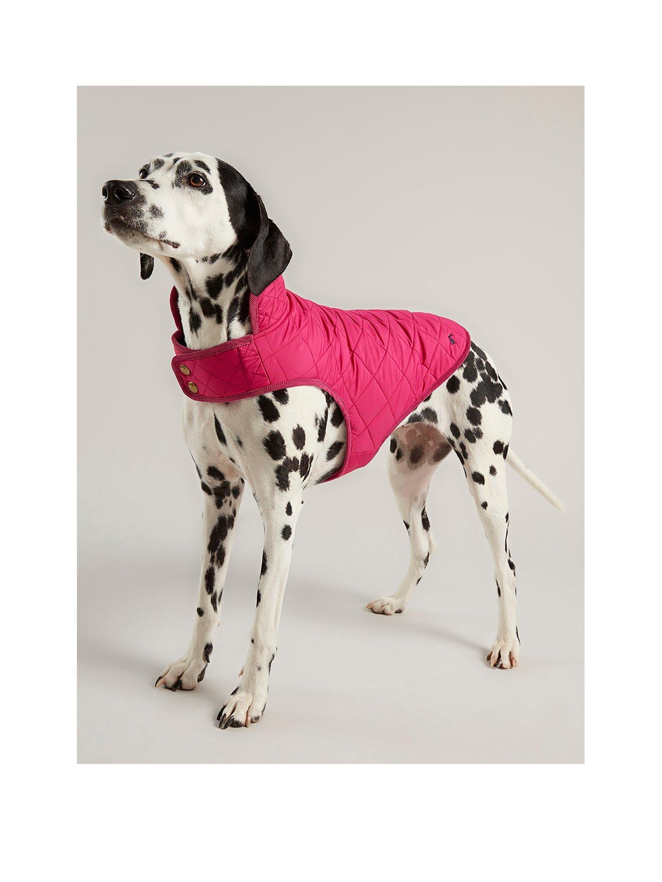 Petface Cooling Coat 2024 littlehomeblessings