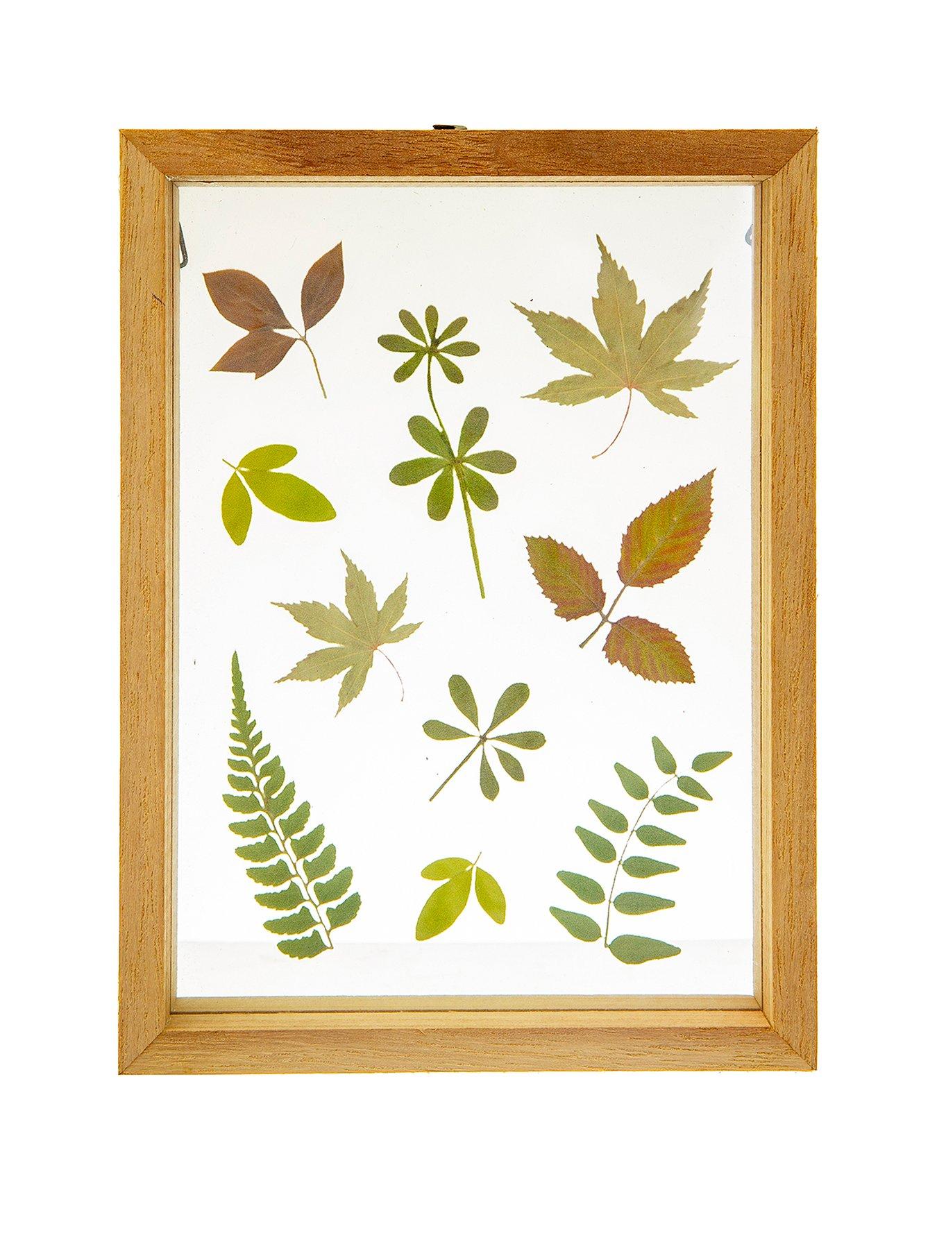 Sass & Belle Herbarium Leaves Floating Frame review