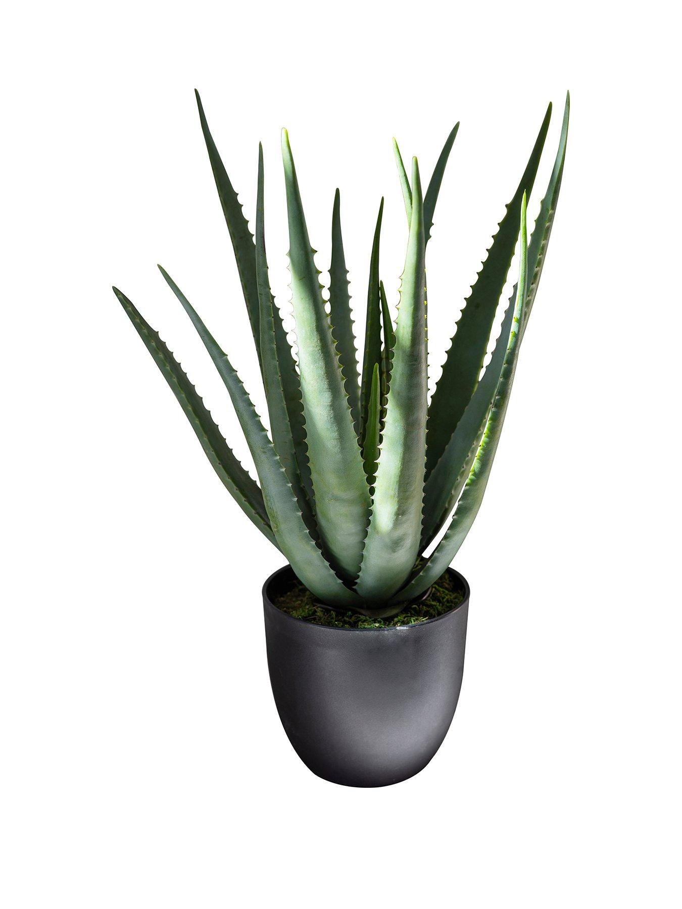 Gallery Artificial Aloe Pot Plant review