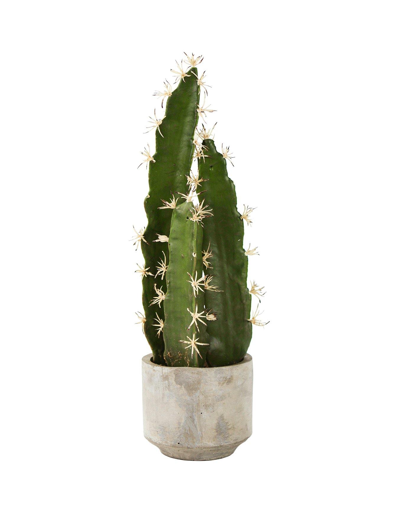 Gallery Artificial Cactus Plant review