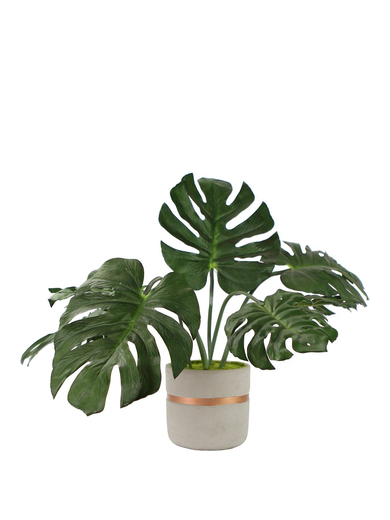 Gallery Artificial Monstera Plant review