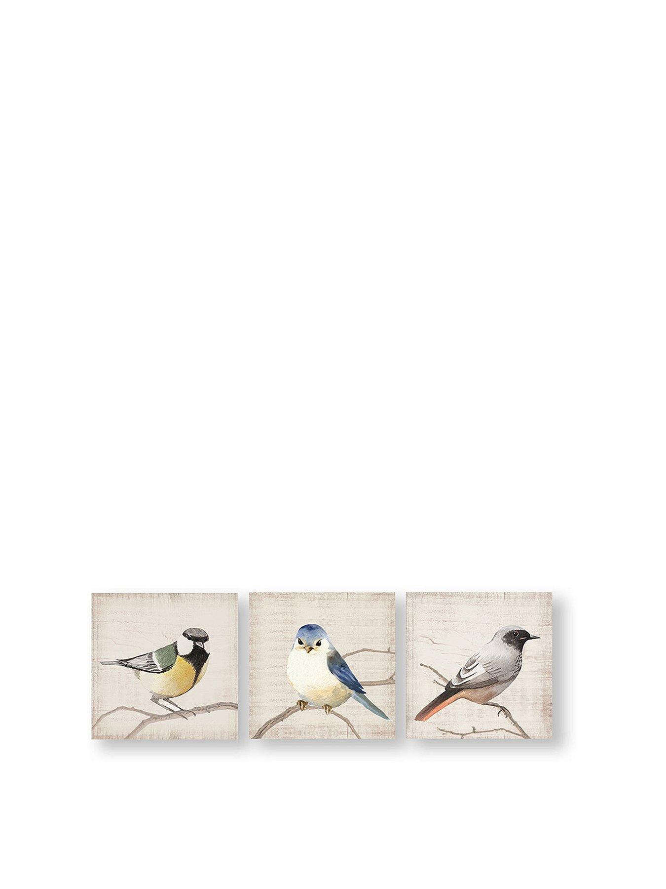 Graham & Brown Set Of 3 Perched Bird Canvas Prints review