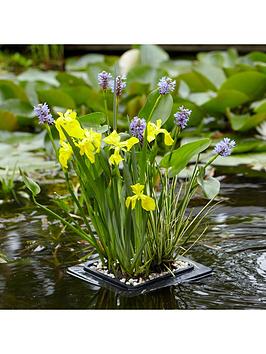 Product photograph of Complete Pond Floating Raft Kit -plants Gravel Raft from very.co.uk