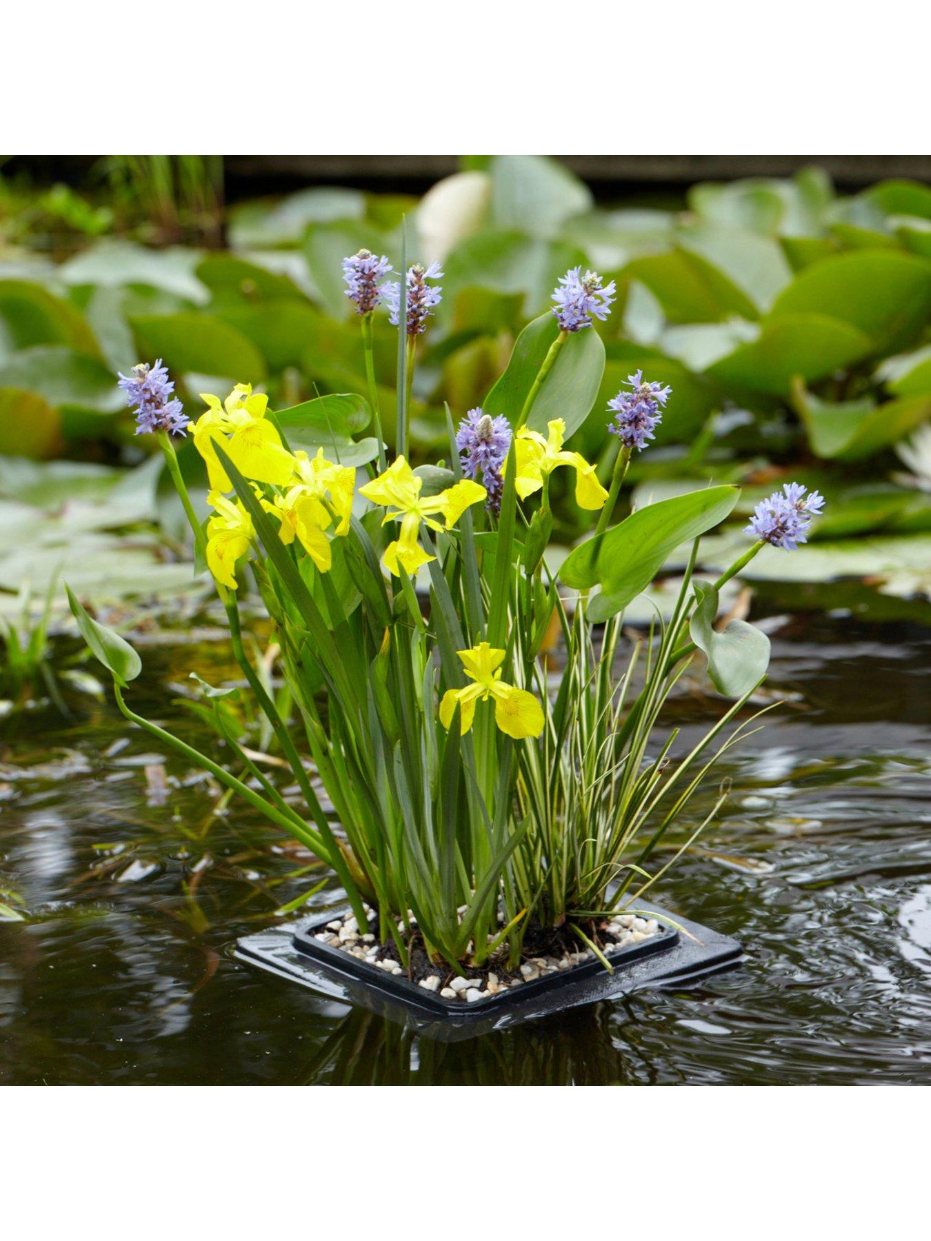 undefined Complete Pond Floating Raft kit -plants, gravel & raft