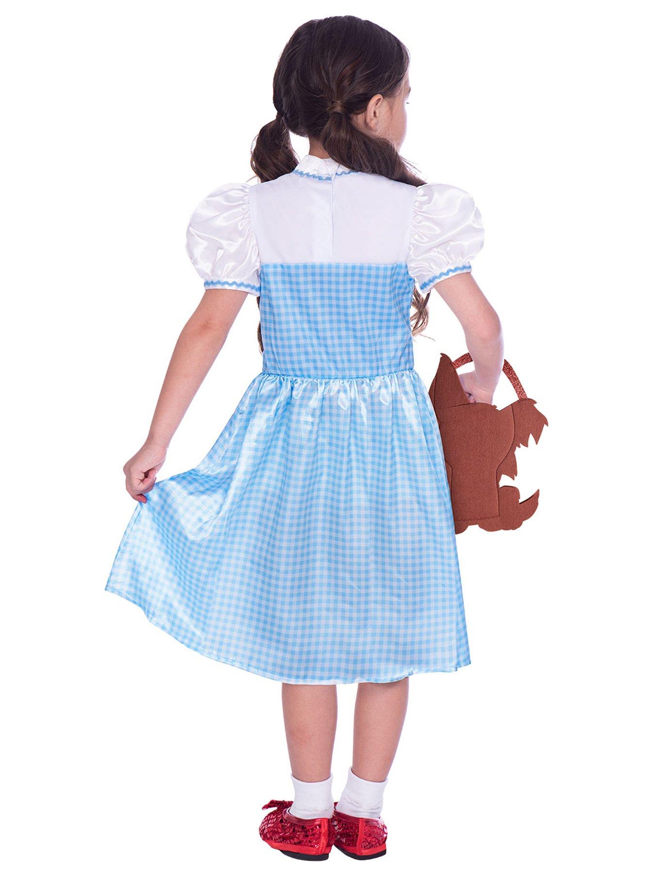 Dorothy fancy clearance dress child