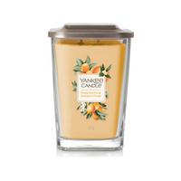 kumquat yankee