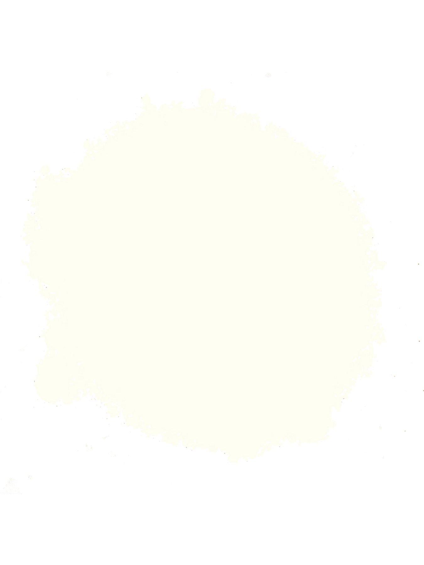 RustOleum Chalky Finish Garden Furniture Spray Paint Chalk White 400