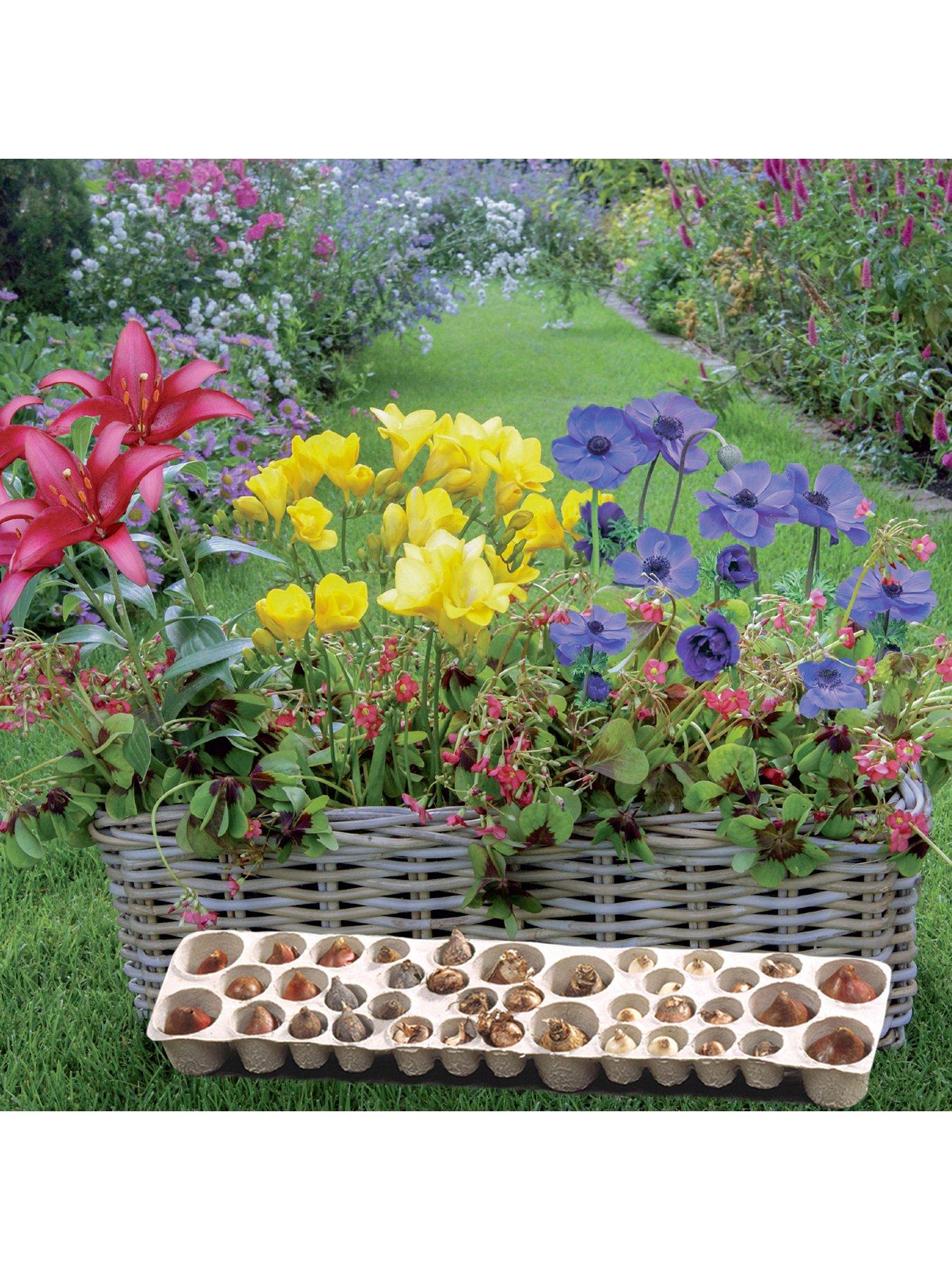 Product photograph of You Garden Balcony Plant O Mat X 38 Bulbs Spring Version from very.co.uk